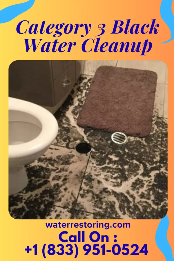 Category 3 Black Water Cleanup in Muskegon, MI
