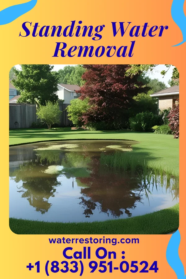 Standing Water Removal in Muskegon, MI